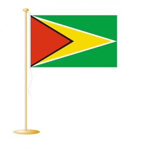 Tafelvlag Guyana afm. 10x15cm