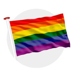 vlag Regenboog LGBT pride