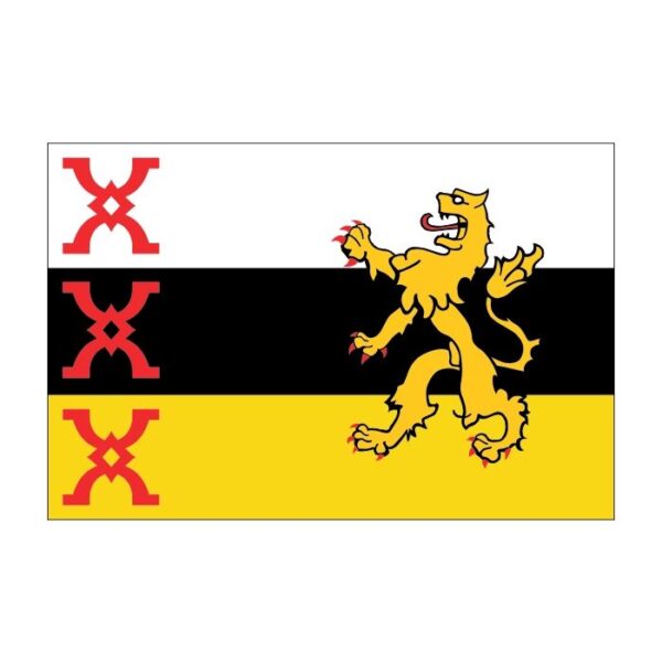 vlag Someren