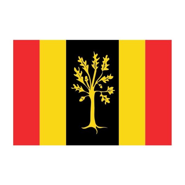 vlag Waalwijk