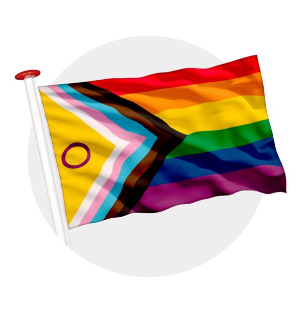 Intersekse Progress vlag